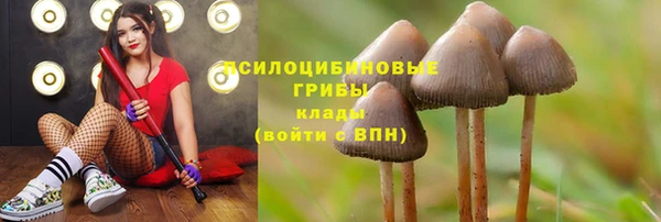 прущая мука Алзамай