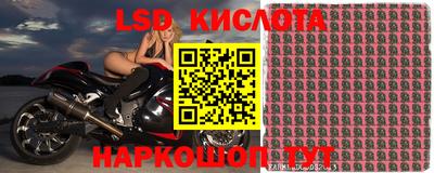 трава Аргун