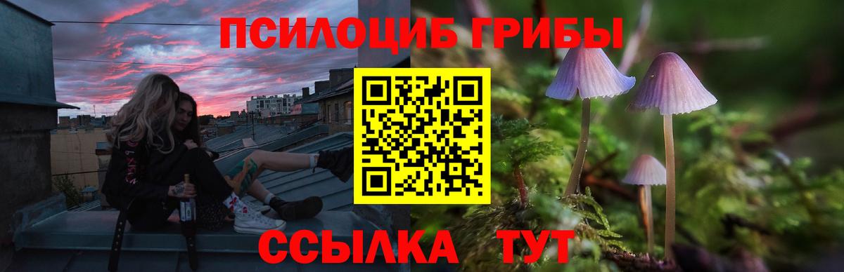 Псилоцибиновые грибы мицелий Балашиха